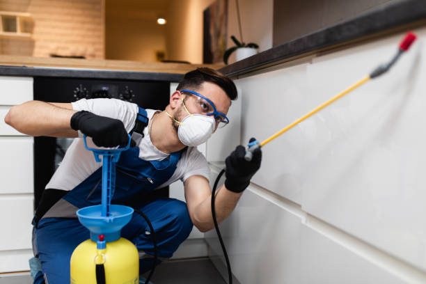 Best Pest Control Near Me  in Beecher, MI