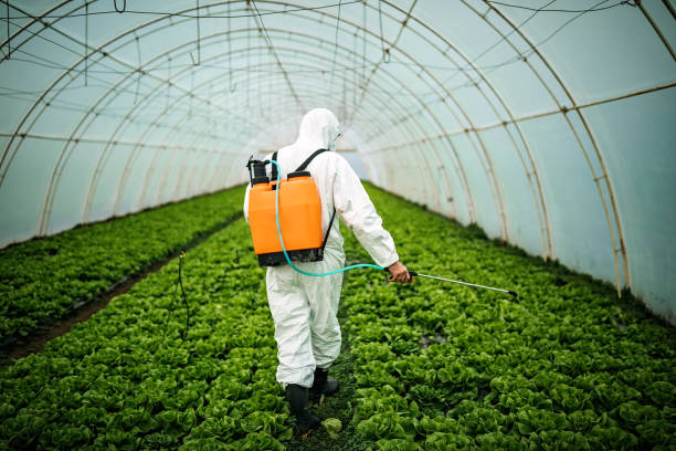 Best Mosquito Control Services  in Beecher, MI