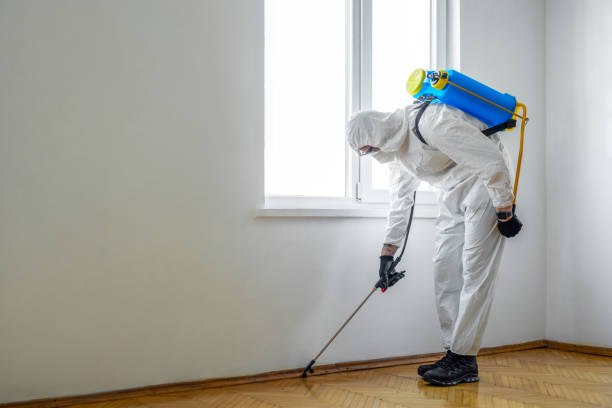 Best Rat Extermination Near Me  in Beecher, MI