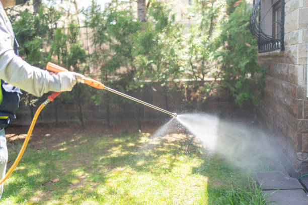 Best Wildlife Control Services  in Beecher, MI