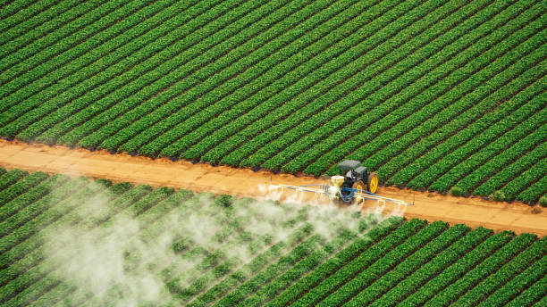 Best Commercial Pest Control Services  in Beecher, MI
