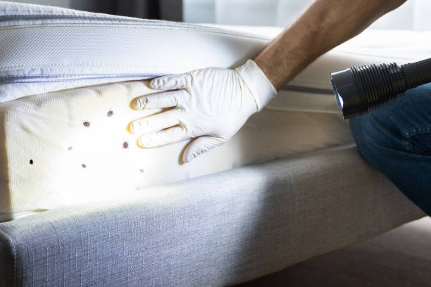Best Pest Inspection Near Me  in Beecher, MI