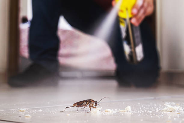 Best Pest Removal Services  in Beecher, MI