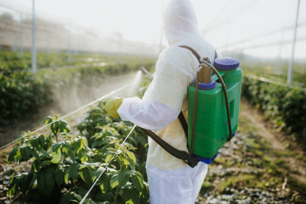 Reliable Beecher, MI Pest Control Solutions
